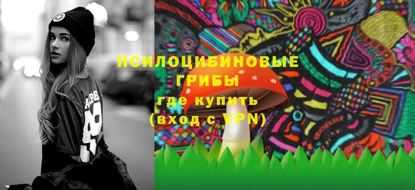 спайс Алзамай