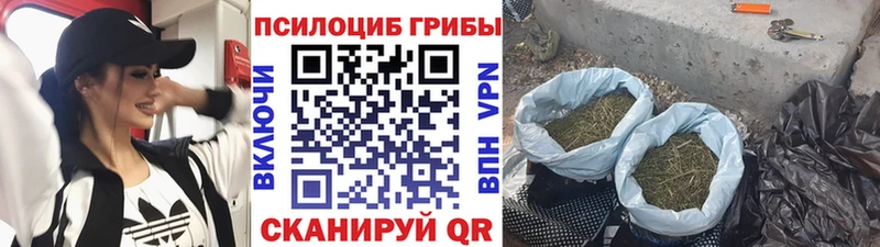 наркошоп  Галич  OMG рабочий сайт  Галлюциногенные грибы мухоморы 